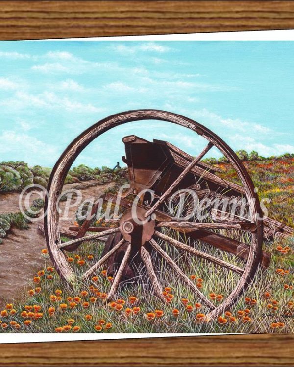 Old Seeder Notecard
