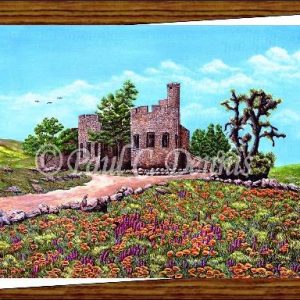 Shea's Castle Notecard